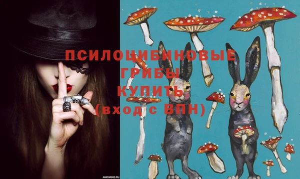 молекула духа Алексин